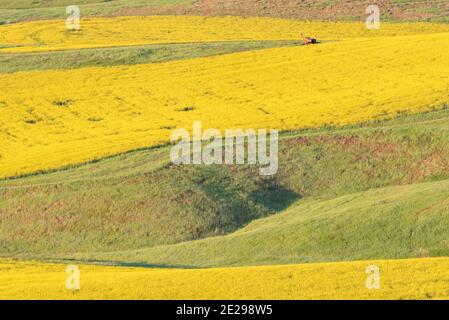 Farmland Patterns, Wallowa Valley, Oregon Stockfoto