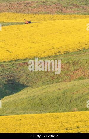 Farmland Patterns, Wallowa Valley, Oregon Stockfoto