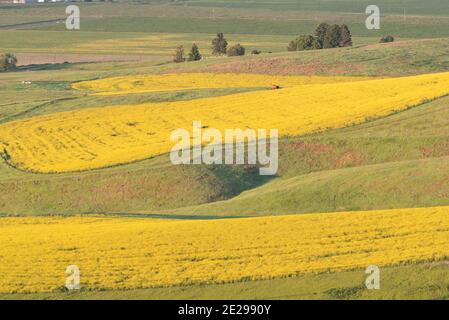 Farmland Patterns, Wallowa Valley, Oregon Stockfoto