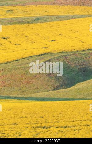 Farmland Patterns, Wallowa Valley, Oregon Stockfoto