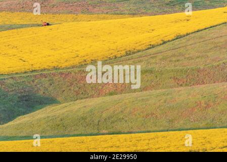 Farmland Patterns, Wallowa Valley, Oregon Stockfoto