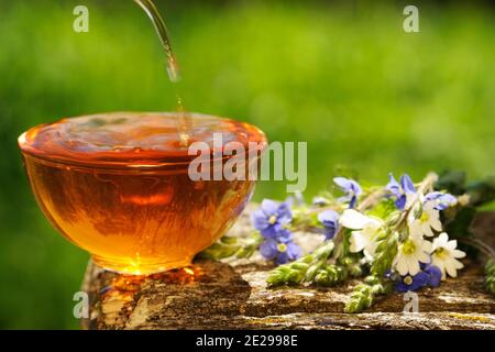 Schwarzer Tee gegossen in Glas Tasse auf Holzbrett mit Blaue und weiße Blumen auf grünem Hintergrund Copyspace Nahaufnahme Stockfoto