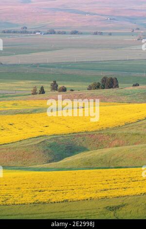 Farmland Patterns, Wallowa Valley, Oregon Stockfoto