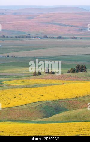 Farmland Patterns, Wallowa Valley, Oregon Stockfoto