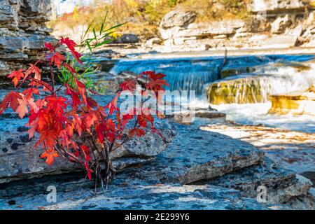 Vierte Chute Conservation Area Bonnechhere River Renfrew County Ontario Kanada Im Herbst Stockfoto