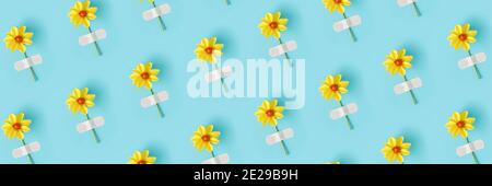 Banner aus Blumenmuster. Frische natürliche gelbe Blume mit Klebstoff Gips auf blauem Hintergrund geklebt. Konzept Medizin, Gesundheit und Naturheilkunde Stockfoto