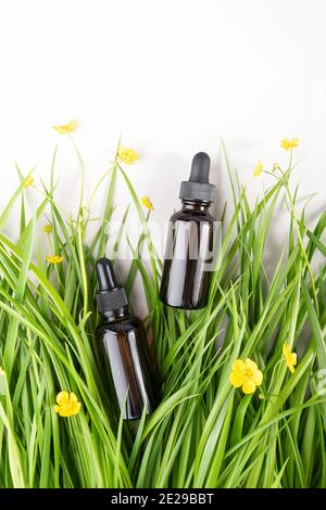 Zwei braune Glasflaschen mit Serum, ätherisches Öl Kollagen oder andere kosmetische Produkte unter dem grünen Gras, gelbe Blüten auf weißem Hintergrund. Natura Stockfoto