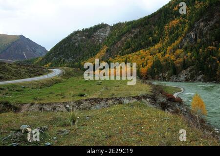 Eine Kurve in der Straße und ein wunderschöner türkisfarbener Fluss, der im Herbst am Fuße der hohen Berge fließt. Altai, Sibirien, Russland. Stockfoto