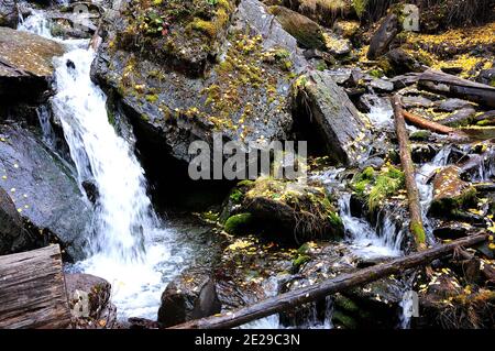 Ein stürmischer Gebirgsbach, der nach unten fließt und sich um Steinbrocken herum beugt. Boki Fluss, Altai, Sibirien, Russland. Stockfoto