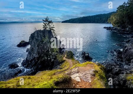 Küstenwanderweg im malerischen East Sooke Regional Park, atemberaubende Wasserlandschaft im Hintergrund Stockfoto