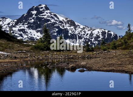 Mount Myra von Flower Ridge Stockfoto