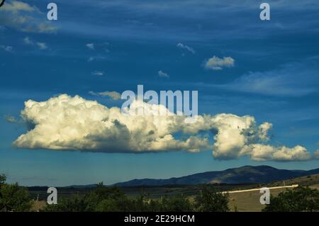 Blick von vorne, gegen den blauen Himmel. Herbst. Stockfoto