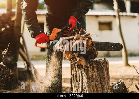 Nahaufnahme der elektrischen Säge in mans Hände schneiden großen Teil des Baumes. Mann in Schutzuniform Schneiden Holz draußen. Stockfoto