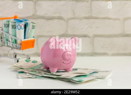 Sparschwein und Einkaufswagen mit Geld auf hellem Hintergrund. Stockfoto