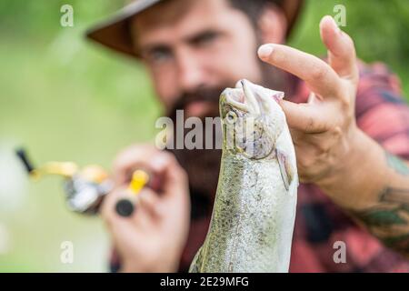 Angeln. Angler mit Angeltrophäe. Fischer und Forelle. Angelhintergründe. Mann hält große Fischforelle in den Händen. Fischer und Trophäe Forelle. Mann Stockfoto