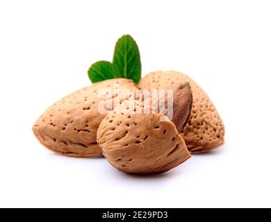 Gruppe von Mandeln mit Blättern auf weißem Hintergrund Stockfoto