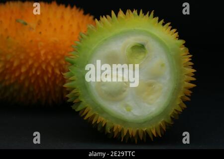 Haarige bittere Gourde, Momordica dioica, Stockfoto