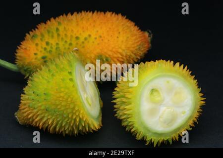 Haarige bittere Gourde, Momordica dioica, Stockfoto