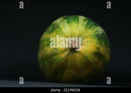 Coccinia indica, Baby Wassermelone, kleiner Kürbis, Gentleman's Zehen, tindora Stockfoto