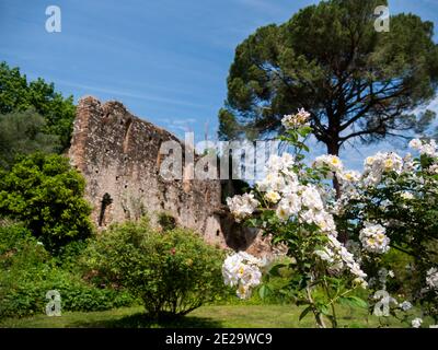 Der Garten von Ninfa, der verlassenen Stadt, Cisterna di Latina, Latium, Italien, Europa Italien Stockfoto