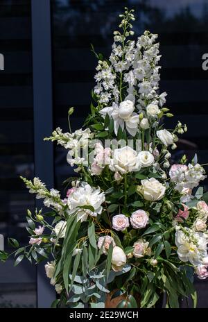 Beeindruckendes floristisches Bouquet von weißen Rosen und Delphinium - grün Drehen Stockfoto