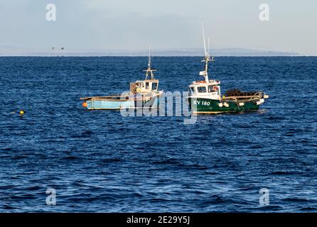 Hummerboote fischen vor Fife Ness in der Nähe von Crail, Fife, Schottland Stockfoto