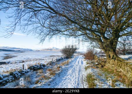 Eine verschneite Strecke auf dem östlichen Lomond Hügel mit Blick auf West Lomond Hill, Fife, Schottland. Stockfoto