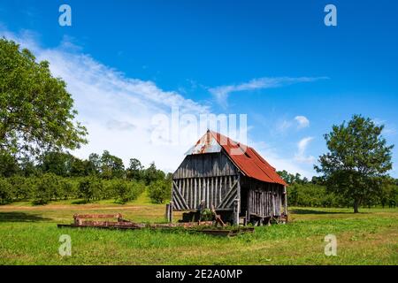 Alte Scheune für die Lagerung von Geräten in Apfelplantage. Traditionelle ökologische Landwirtschaft in Calvados, Normandie, Frankreich. Stockfoto