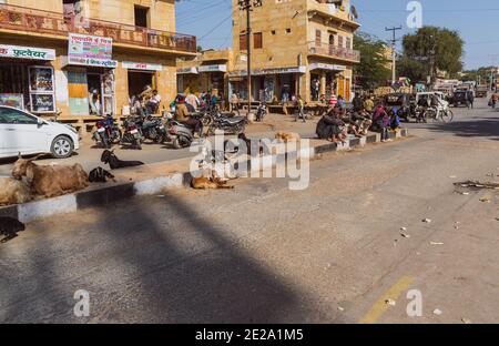 Jaisalmer, Rajasthan / Indien - Januar 8 2021 : Menschen und Ziegen sitzt auf einer Straße Trenner, sitzt Menschen auf Trenner in direktem Sonnenlicht wartet auf ihre b Stockfoto