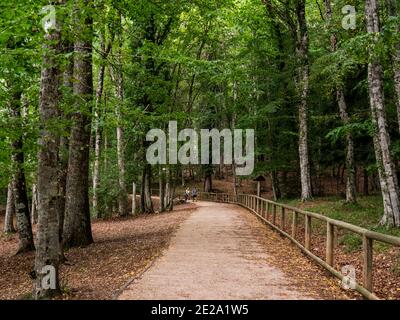 Nationalpark Gargano, Naturschutzgebiet Foresta Umbra, Italien, Halbinsel Gargano, Apulien, Foggia Stockfoto