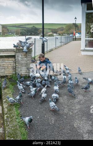 Ein junger männlicher Teenager füttert eine Herde wilder Tauben am Trenance Boating Lake in Newquay in Cornwall Columba livia domestica. Stockfoto