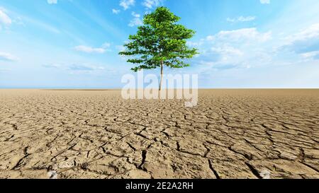 Konzept oder konzeptuelle Wüstenlandschaft mit einem grünen Baum als Metapher für globale Erwärmung und Klimawandel. Stockfoto