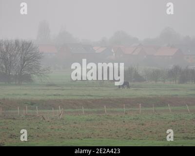 Sheerness, Kent, Großbritannien. Januar 2021. UK Wetter: Nebliger leichter Regen / Nieselregen in Sheerness, Kent. Kredit: James Bell/Alamy Live Nachrichten Stockfoto