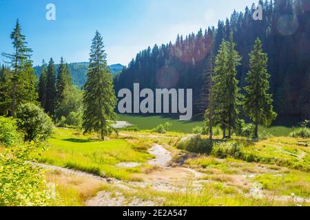 Foto von Sommer Rumänische Landschaft in der Nähe des Lacu Rosu Sees Stockfoto