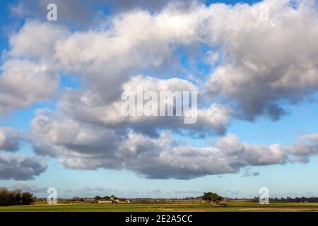 Flauschige weiße Cumuluswolken, die über Felder ziehen, Alderton, Suffolk, England, Großbritannien Stockfoto