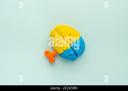 Ideenkonzept. Arbeit des Gehirns - Modell aus buntem Ton, Draufsicht Stockfoto