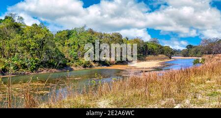 Flusswald und Fluss, Feuchtgebiete, Royal Bardia National Park, Bardiya National Park, Nepal, Asien Stockfoto