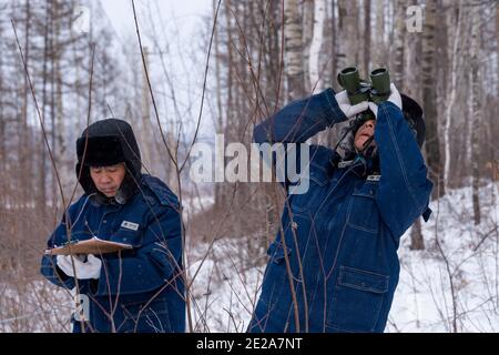 (210113) -- MOHE, 13. Januar 2021 (Xinhua) -- Lyu Jiansheng (R) und Wang Shaoting führen Stromlinienpatrouille im Wald in der Nähe des Dorfes Beiji der Stadt Mohe, nordöstlich der Provinz Heilongjiang, 12. Januar 2021. Das Dorf Beiji in Mohe City, der nördlichsten Stadt Chinas, konnte sich nur noch vor 2007 auf kleine Dieselgeneratoren zur Stromversorgung verlassen. Nach dem Anschluss an das Staatsnetz, Beiji Village Einrichtung der nördlichsten Stromversorgung in China, die Beiji Power Supply Station. Direktor Lyu Jiansheng und Zählerleser Wang Shaoting sind die einzigen zwei Mitarbeiter der Station, die ist Stockfoto