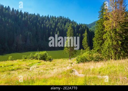 Sommer Rumänische Landschaft in der Nähe des Lacu Rosu Sees, Siebenbürgen Stockfoto