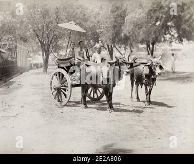 Vintage 19th Jahrhundert Foto: Bulllock-Wagen mit Fahrer und zwei gut gekleideten Frauen, Britisches Indien, wahrscheinlich Burma, Myanmar, c,1890. Stockfoto