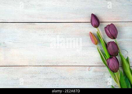 Festlicher Hintergrund mit lila Tulpen auf einem hellen Holzhintergrund. Stockfoto
