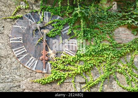 Eine alte Metalluhr auf einer rustikalen Wand eine alte Uhr auf der Mauer, die die Festung in Novi Sad umgibt. Serbien. Uhr mit Efeublättern. Stockfoto