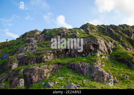 Großer Felsen umgeben von Krast und Moos Stockfoto