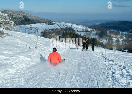 Schnee fiel in großen Mengen in den Vogesen, bis zu 1 Meter in wenigen Tagen. Die Skigebiete sind wegen der COVID-19 Coronavirus-Krise geschlossen, Familien gehen Rodeln und Langlaufen auf verschiedenen Bergen der Vogesen. 10. Januar 2021, in Hohbuhl - Grendelbruch, Nordostfrankreich. Foto von Nicolas Roses/ABACAPRESS.COM Stockfoto