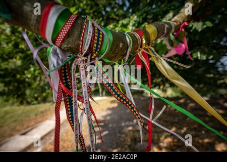 JRR Tolkiens Mythische Bäume in Avebury, Wiltshire, Großbritannien. Stockfoto