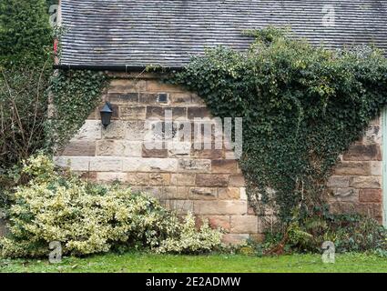 Ein niedriges Steingebäude mit Efeu an den Wänden Stockfoto