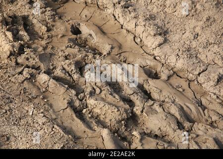 Fruchtbares landwirtschaftliches Ackerland nach Winterregen. Stockfoto