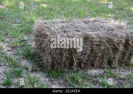 Quadratischer Heuballen auf einer Wiese Stockfoto