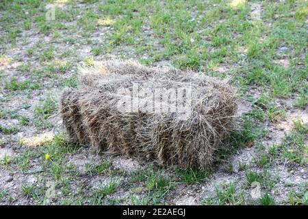 Quadratischer Heuballen auf einer Wiese Stockfoto