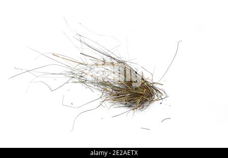 Kleiner Heuhaufen isoliert auf weißem Hintergrund. Stockfoto